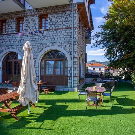 Hotel Adonis ميتسوفو المظهر الخارجي الصورة