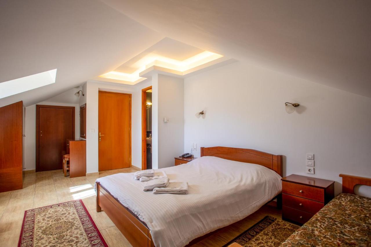 Hotel Adonis ميتسوفو المظهر الخارجي الصورة