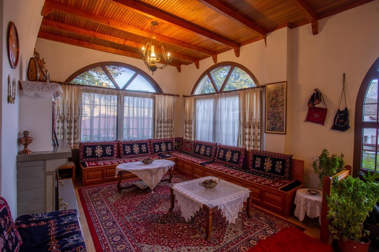 Hotel Adonis ميتسوفو المظهر الخارجي الصورة